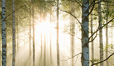 选择澳士堡咪头传声器的5大理由